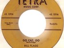 Bill Flagg / Go cat go                / Rockabilly 7