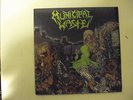 MUNICIPAL WASTE CRUCIAL UNIT SPLIT LP THRASH METAL OOP