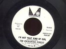 The ENCHANTED FOREST 45 PROMO SO-010 WORD IS LOVE  0730