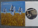 PORCUPINE TREE --- Stranger by the Minute / Hallogallo