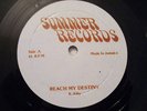 NOEL ELLIS/REACH MY DESTINY TUFF ROOTS REGGAE  12
