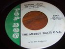 THE MERSEY BEATS U.S.A GARAGE ON TOP DOG REC LBL# 2313