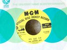 Garage 45-Leather Boy-On The Go-MGM PROMO-NICE