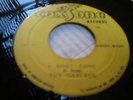 The Gaylads-I Don't Care RARE SKA REGGAE 45 LISTEN