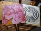 STILL LIFE SAME LP IN 1971 MINT VERTIGO SWIRL UK PRESS