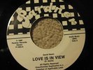 private modern soul 45 David Nevin Love is in View hear
