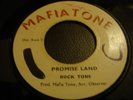 Rock Tone Promise Land  Roots 7