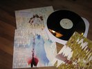 Portugal The Man It's Complicated #69/118 etched vinyl