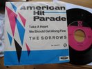 THE SORROWS TAKE A HEART 1965 TOP RARE BEAT 7