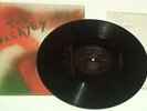 THE DECAYES-s/t (RARE,1974 LP, #65/100,painted jacket )