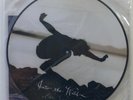 INTO THE WILD Pearl Jam EV PICTURE DISC LP w/45,Booklet
