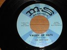 THE JUST LUV Valley Of Hate NM PSYCH/PUNK/GARAGE 45 NR