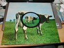 PINK FLOYD ATOM HEART MOTHER LIMITED 1997 LP NEAR MINT