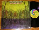 1969 Psych Blues LP - AMERICAN BLUES Do Their Thing UNI