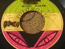REGGAE 45 BUNNY WAILER Battering Down Sentenc SOLOMONIC