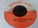 VICEROYS / RISE IN THE STRENGTH OF JAH / ROOTS listen