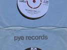 THE LAURELS THE DEVILS WELL SHAME SHAME psych pop beat