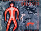 Charlie Mingus-Pithecanthropus Erectus-Atlantic 1237