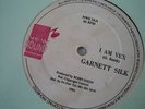 GARNET SILK - I AM VEX / THE ROD - NEW SOUND 12