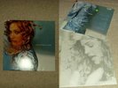 Madonna   Ray of Light 2LP Vinyl