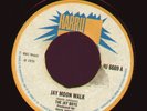 JAY BOYS Jay Moon Walk (Harry-J) Twin Skins LISTEN 