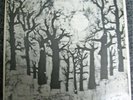 CRUCIBLE 2 PRIVATE Rural Rock LP Hoi Polloi Folk PSYCH