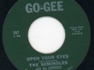 Seminoles-Open Your Eyes-Go Gee Doo Wop 45 