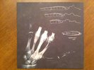 Pearl Jam Fan Ten Club Christmas Single 7in Vinyl 1998