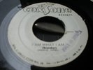 Jackie Opel-I Am What I Am RARE SKA REGGAE 45 LISTEN