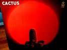1970 Orig CACTUS 1st   Hard Blues Boogie Vanilla Psych