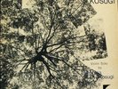 TAKEHISA KOSUGI solo LP BELLOWS FLUXUS VIOLIN TAJ MAHAL