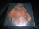 Metallica  rare  Jump in the Fire   UNCUT  Picture disc