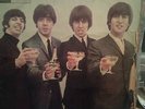 Rare Beatles in Italy Israeli LP Yellow Parlophone