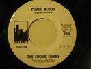 SUGAR LUMPS 45 Young Blood/Last Train To NOLA rare HEAR
