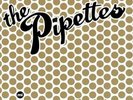 Pipettes hinged collectors box only 500 made