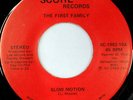 rare Modern Soul 45 FIRST FAMILY slow motion SCORE