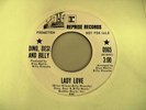 BRIAN WILSON 45 - DINO, DESI AND BILLY - LADY LOVE