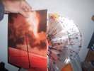 Pelican WHAT WE ALL COME TO NEED 2LP new isis neurosis