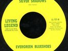 EVERGREEN BLUESHOES Silver Shadows 1967 Psych 45 HEAR