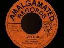 RARE JAMAICA R/STEADY 45 THE PIONEERS LONG SHOT