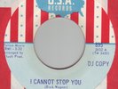 CHERRY SLUSH I Cannot Stop You USA DJ psych garage MI