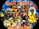 IRON MAIDEN Best Of The Beast LP PICTURE DISC PIC DISK