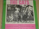 THE CATS 1969 Why RARE POP P/S 7” 45 EP BRAZIL