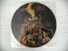 Sepultura - Arise Picture LP Pic Vinyl Celtic Frost RAR