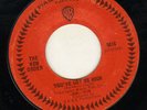 GARAGE MOD FUZZ on WB--THE NEW ORDER--HEAR BOTH