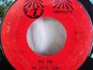 1965 Surf Garage THE ROYAL TEENS Bad Girl TCF Hear