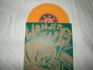 The Wonder Years-Won't Be Pathetic Forever La Dispute