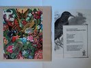 SKYGREEN LEOPARDS child god in garden of fools LP MINT