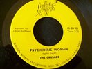 1966 GARAGE--CRUSADE--PSYCHEDELIC WOMAN--GOLDEN NORTH