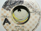 Roman Stewart - Praise Jah 7